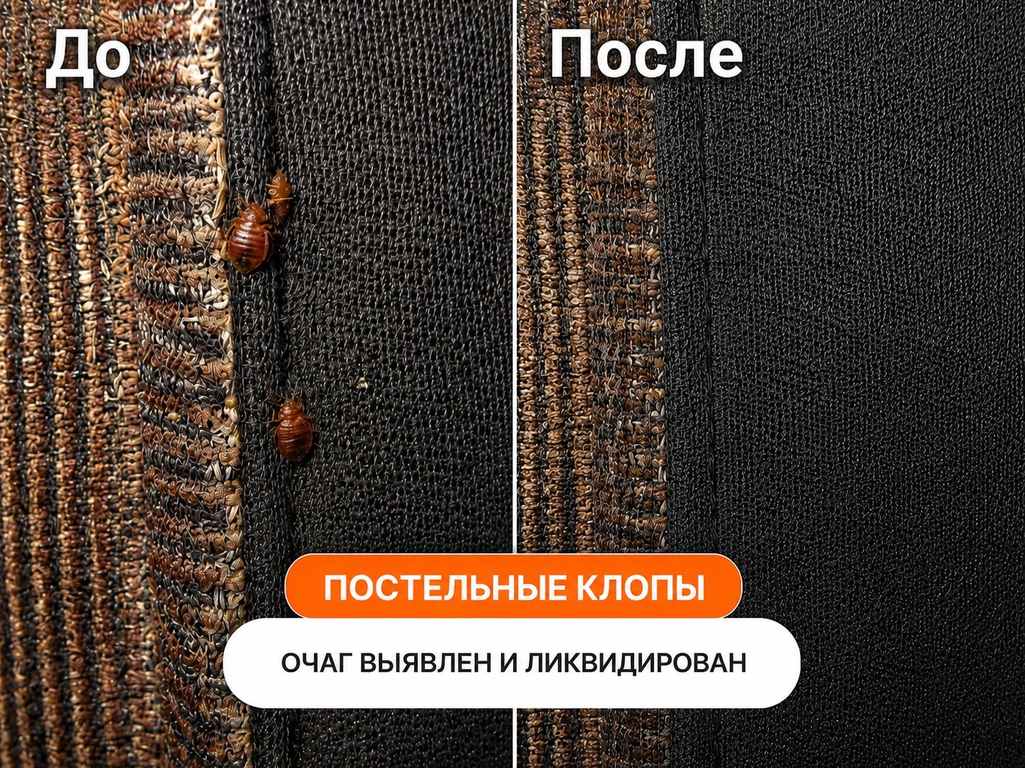 До и после обработки от клопов