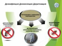 Дератизация, дезинсекция и дезинфекция - что нужно знать?