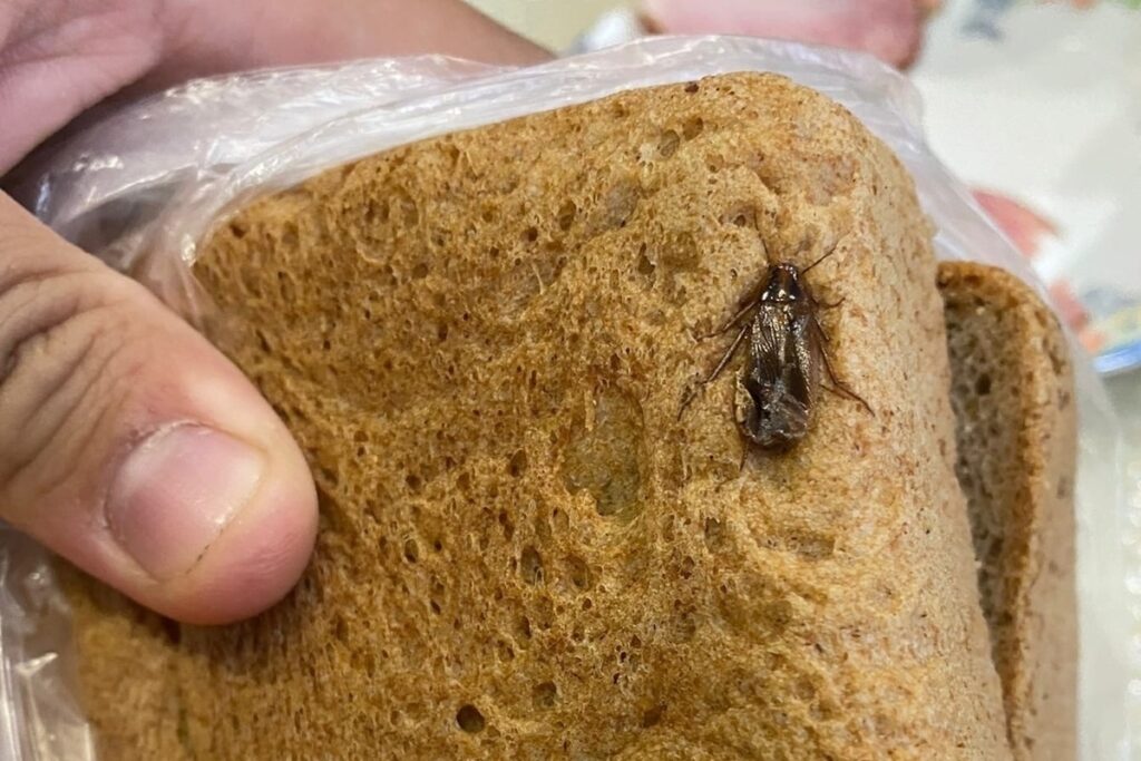 Могут ли тараканы есть через полиэтиленовые пакеты?