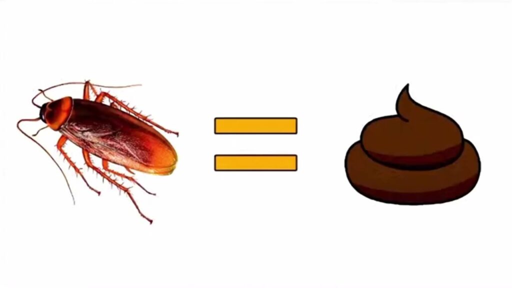 Едят ли тараканы фекалии? (Животных, человека, их собственные какашки)