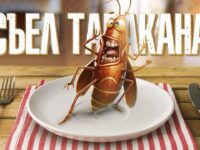 Едят ли тараканы других тараканов?