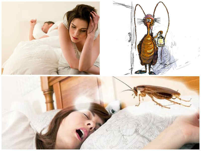 Как отпугнуть тараканов от себя во время сна?